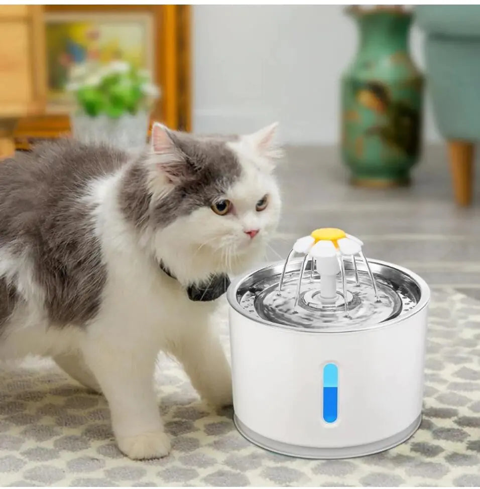 Fontaine à eau pour chat alimentée par USB 