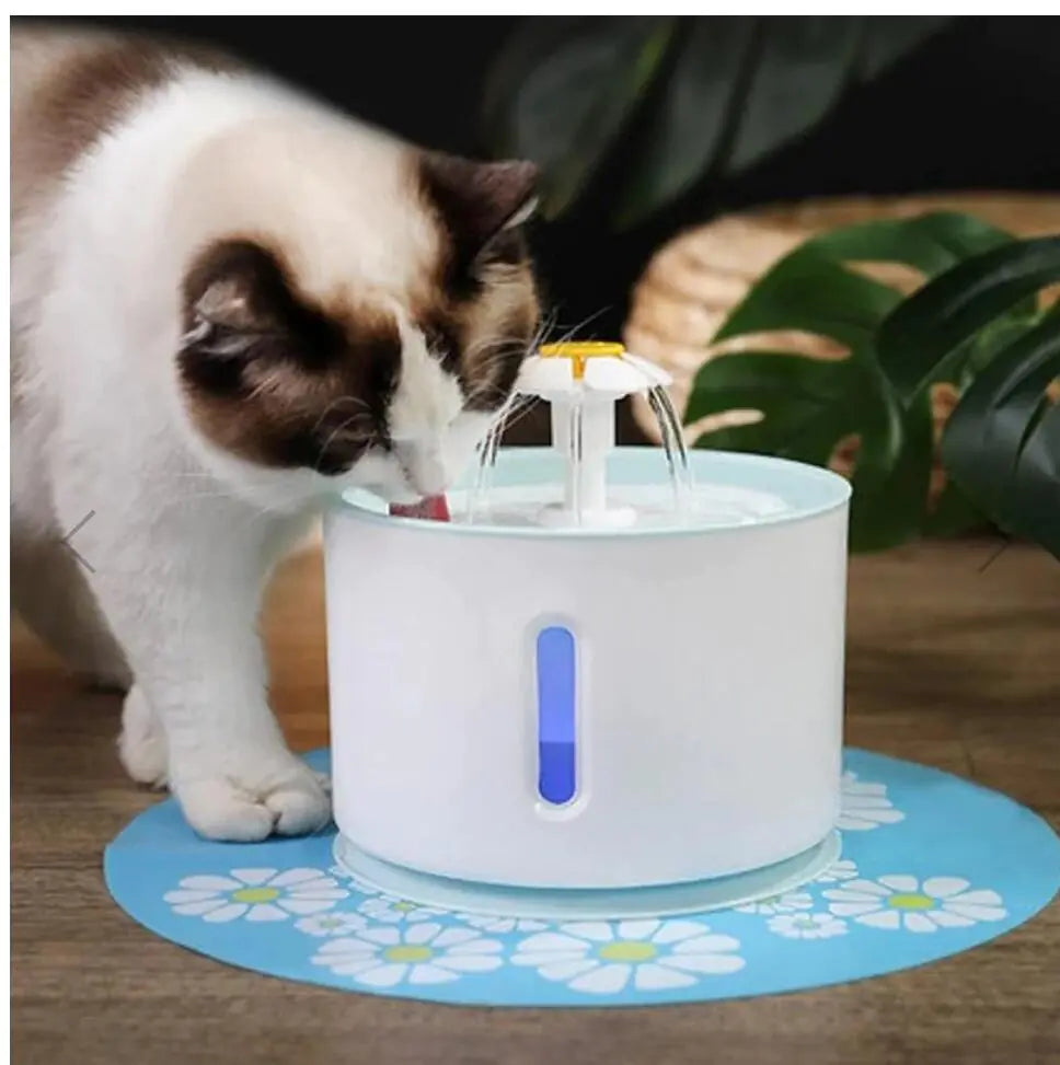 Fontaine à eau pour chat alimentée par USB 